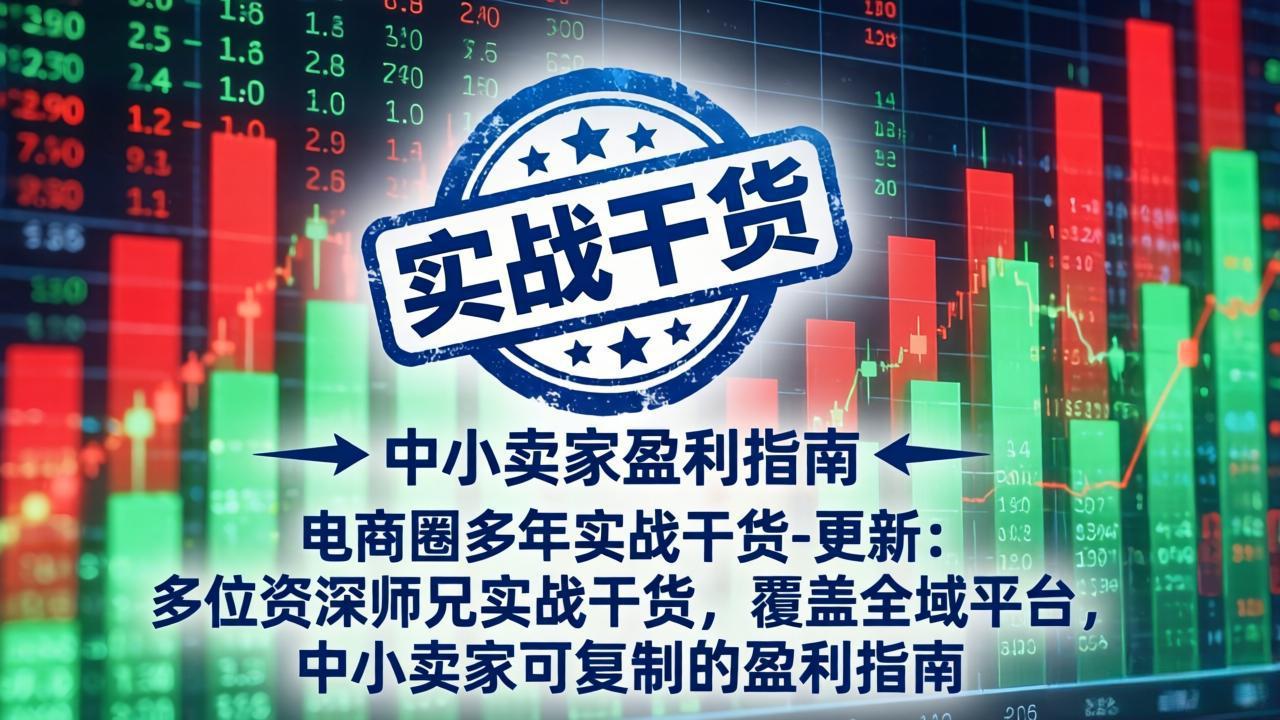 电商圈多年实战干货-更新4月：多位资深师兄实战干货，覆盖全域平台，中小卖家可复制的盈利指南-云顶
