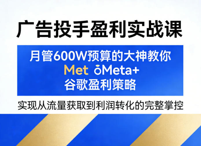 广告投手盈利实战课，月管600W预算的大神教你Meta+谷歌盈利策略，实现从流量获取到利润转化的完整掌控-云顶