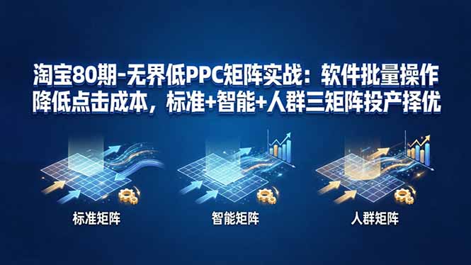淘宝80期-无界低PPC矩阵实战：软件批量操作降低点击成本，标准+智能+人群三矩阵投产择优-云顶