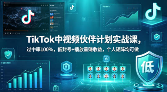 TikTok中视频伙伴计划实战课，过中率100%，低封号+播放量賺收益，个人矩阵均可做-元界
