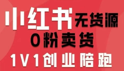 小红书无货源0粉电商课，开店准备、选品策略、笔记撰写、视频剪辑、数据分析、账号打造、资料文档(更新26年4月20日)-元界