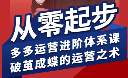 海神·拼多多运营进阶系统课(更新2026)-元界