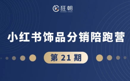 盗坤·抖音小红书视频号短视频带货与直播变现(11-21期)-元界