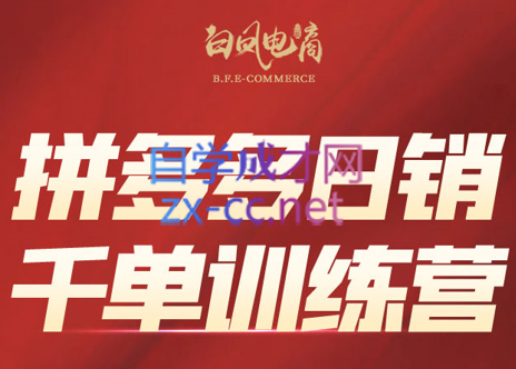白凤电商·拼多多日销千单训练营(更新4月)-元界