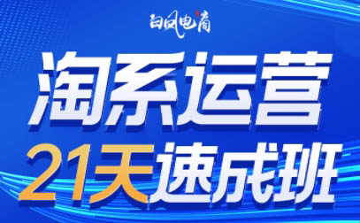 白凤电商·淘系运营21天速成班(更新4月)-元界